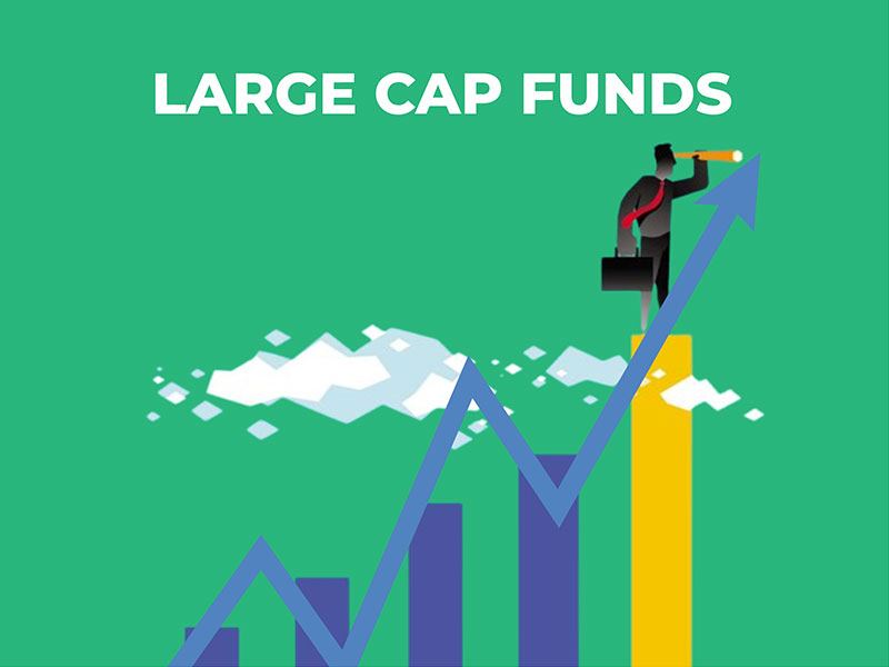 Large cap Fund - MINTIT