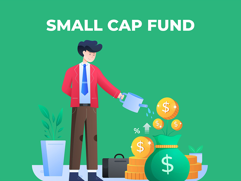 Small Cap Fund - MINTIT